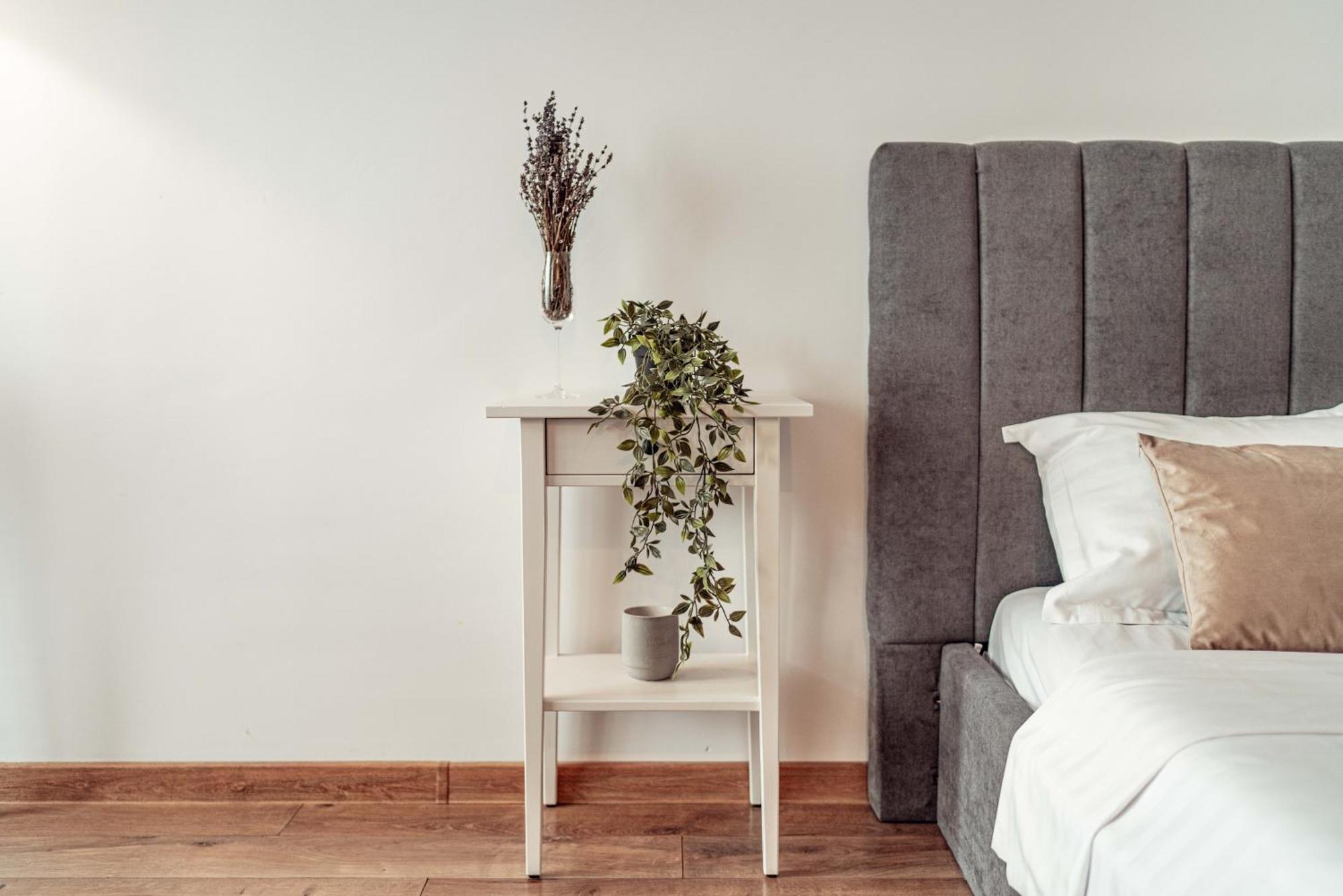 Cozy Apartments At Q Residence - Palas Mall ياش المظهر الخارجي الصورة